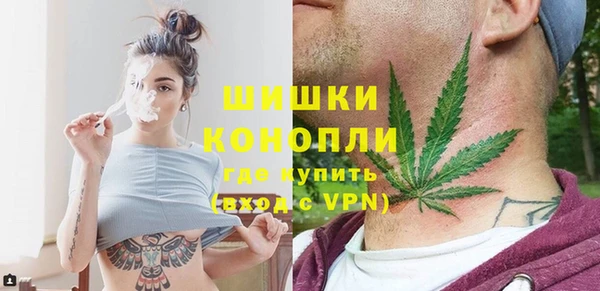соль ск Бородино