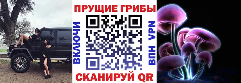 Галлюциногенные грибы прущие грибы  Купить закладки  Сорочинск 